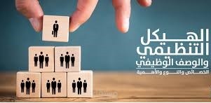 بناء واعادة بناء هياكل تنظيمية لكثير من الشركات