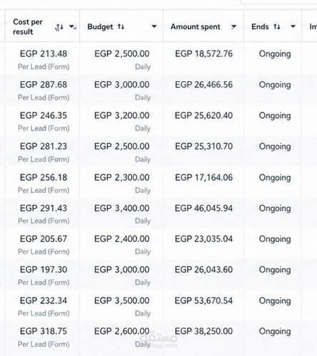 Real estate : KSA & egypt lead generation campaign