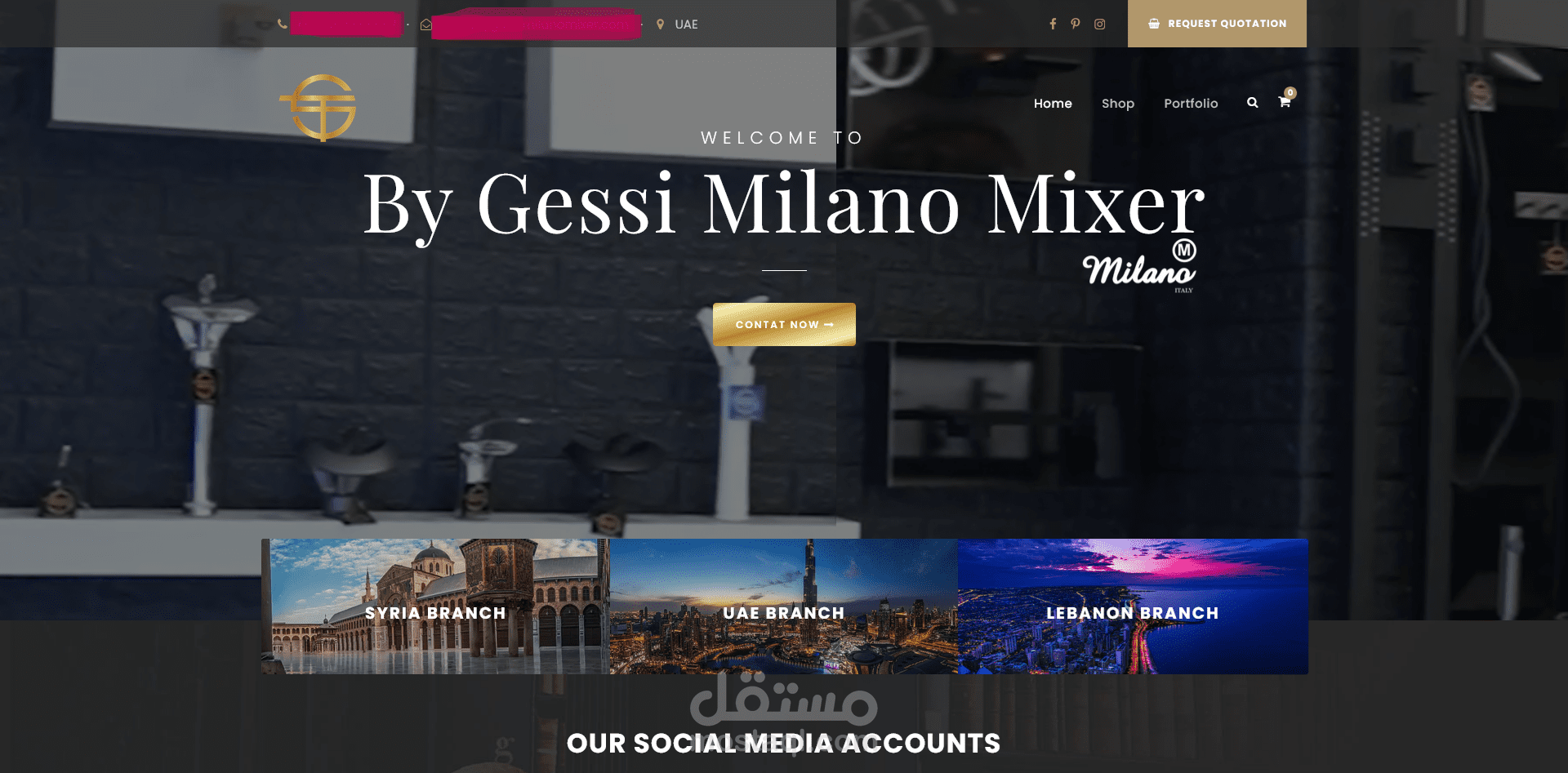Content Writing and Website Development for Mixers eCommerce