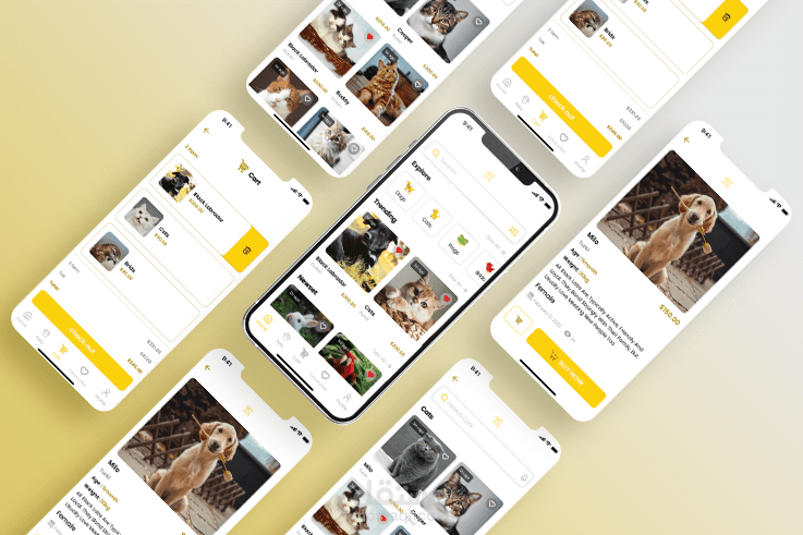 the world of pets  تطبيق توصيل الحيوانات الاليفة