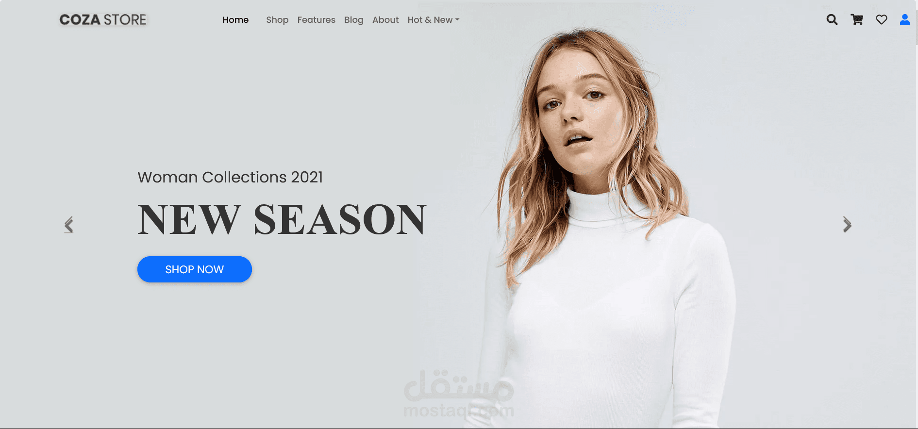 E-commerce Website (COZA STORE) clothing store