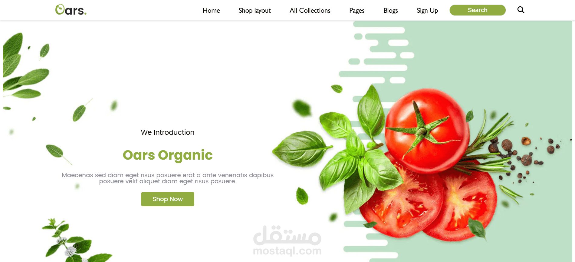 Oars Online Shopping Store