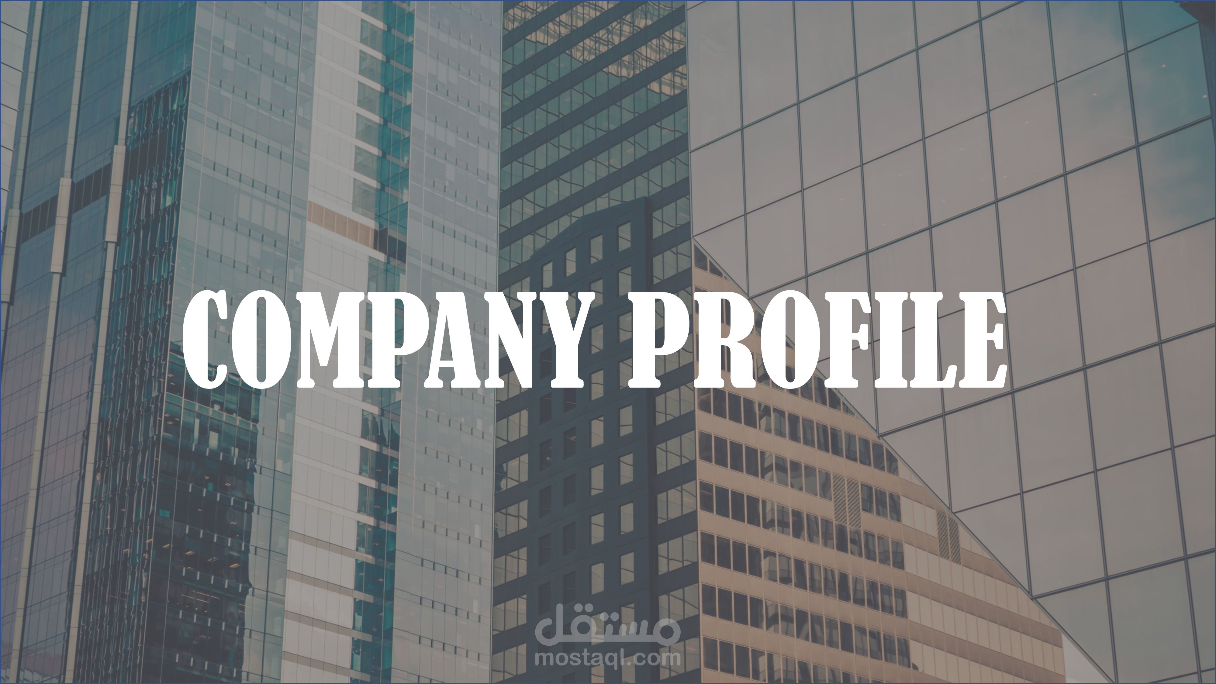 ملف تعريفي (بروفايل) شركه