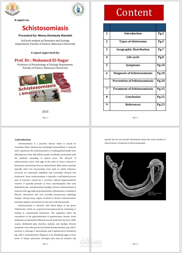 تنسيق وإخراج بحث أكاديمي باللغة الإنجليزية باحترافية وفق المعايير الجامعية
