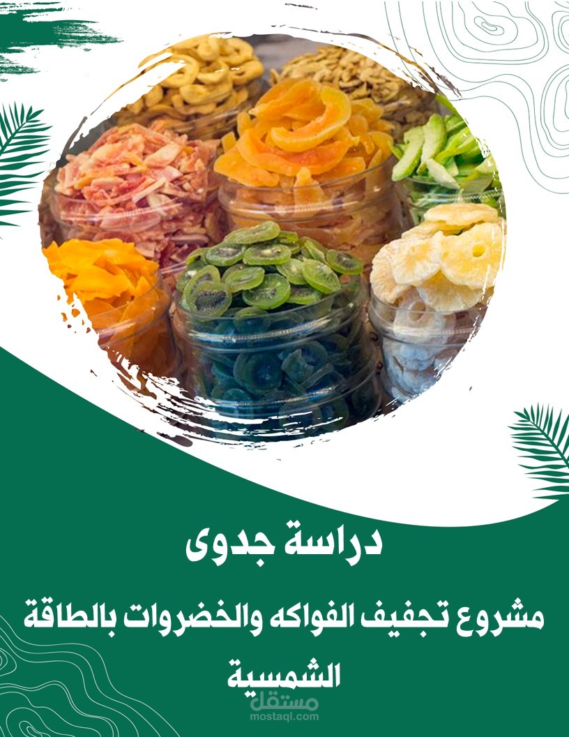 دراسة جدوى متكاملة لمشروع تجفيف الفواكه والخضروات بالطاقة الشمسية - بالمملكة العربية السعودية