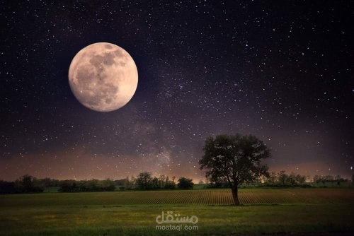 صوره من الطبيعه