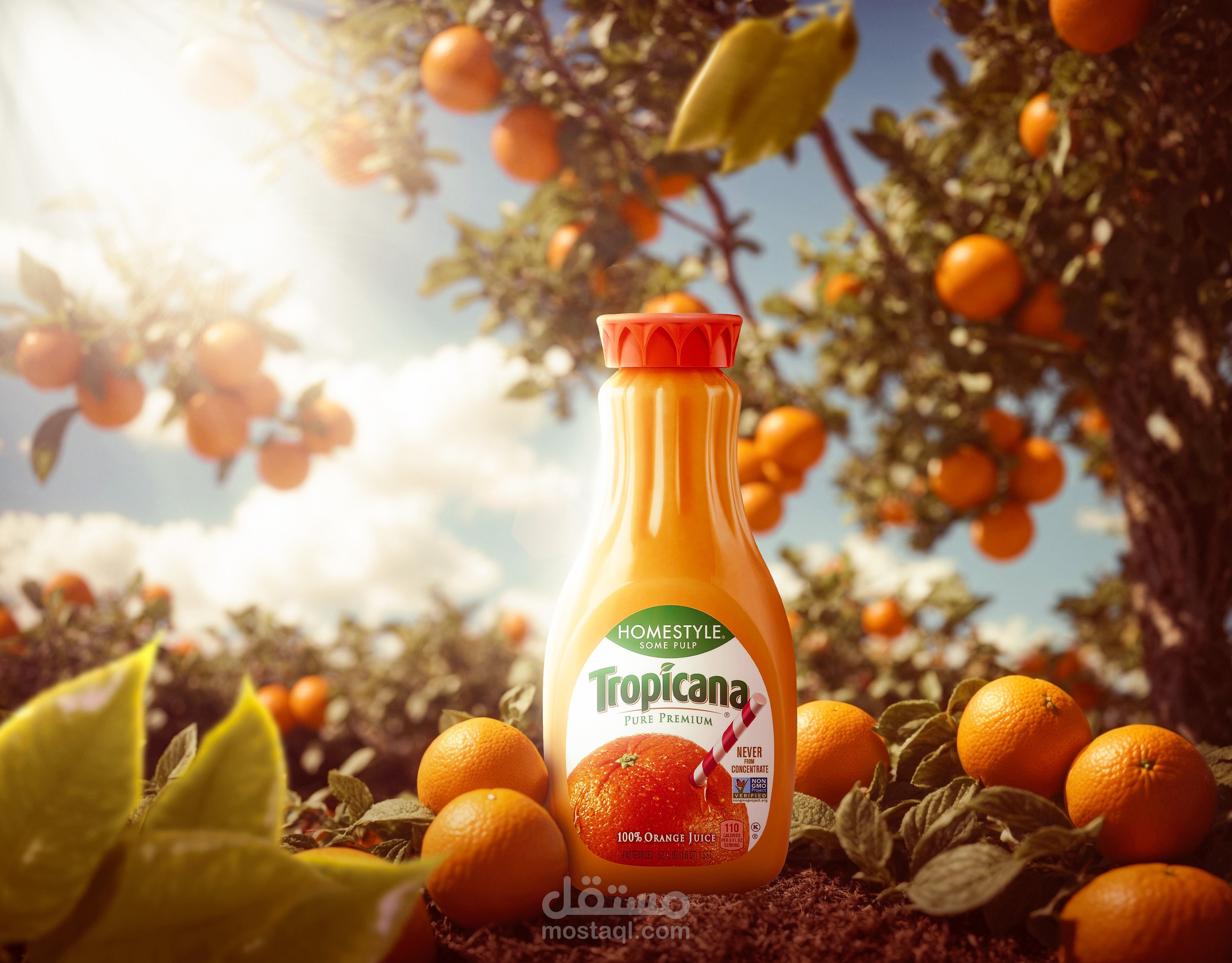 عصير تروبيكانا بنكهة البرتقال