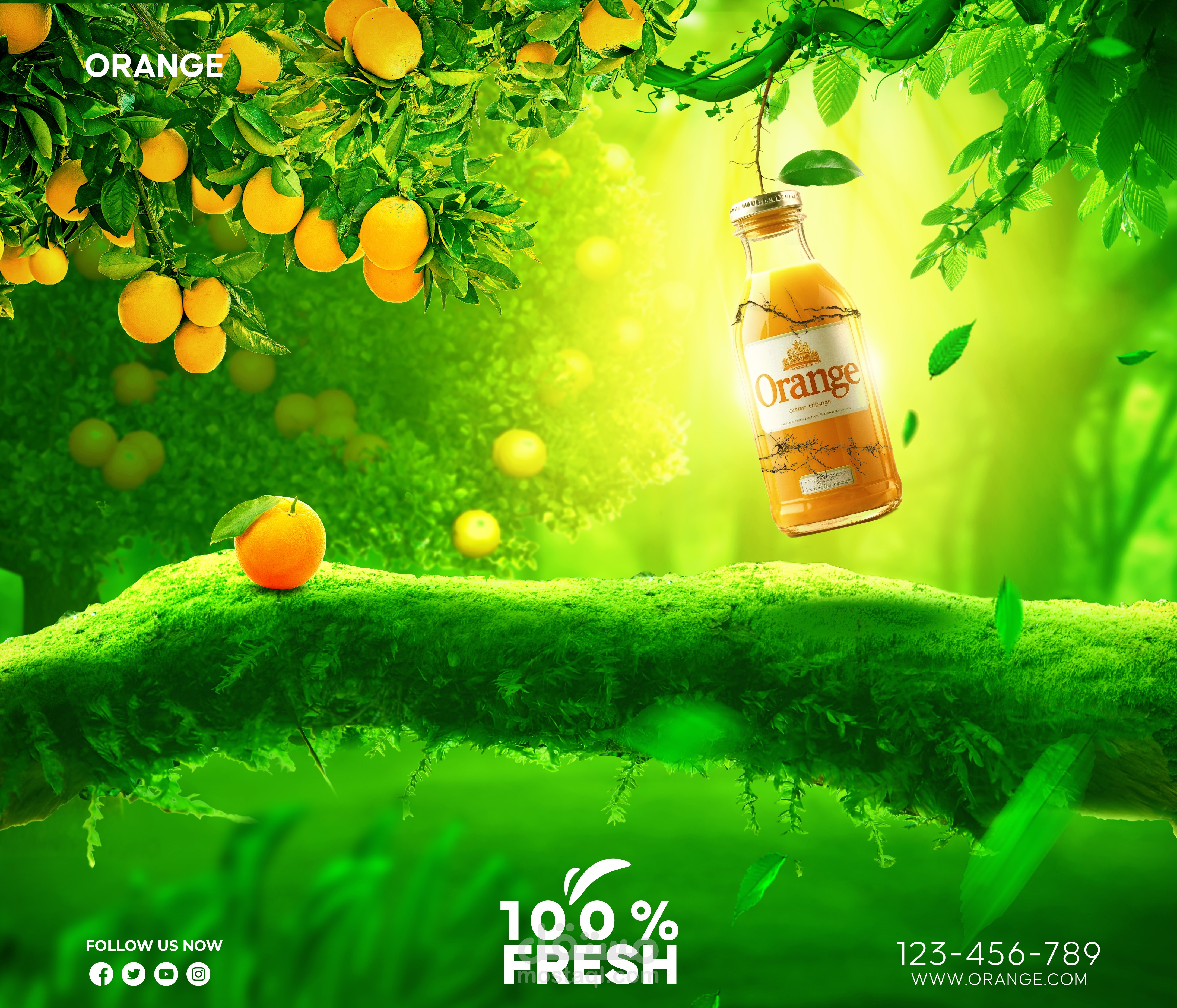 سوشيال ميديا