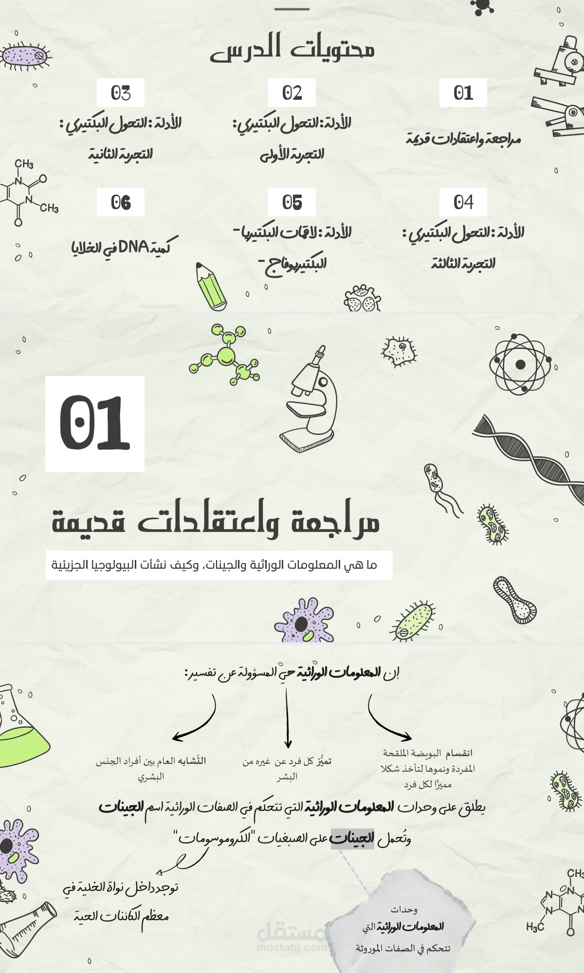 عرض بوربوينت لدرس أحياء || PowerPoint presentation