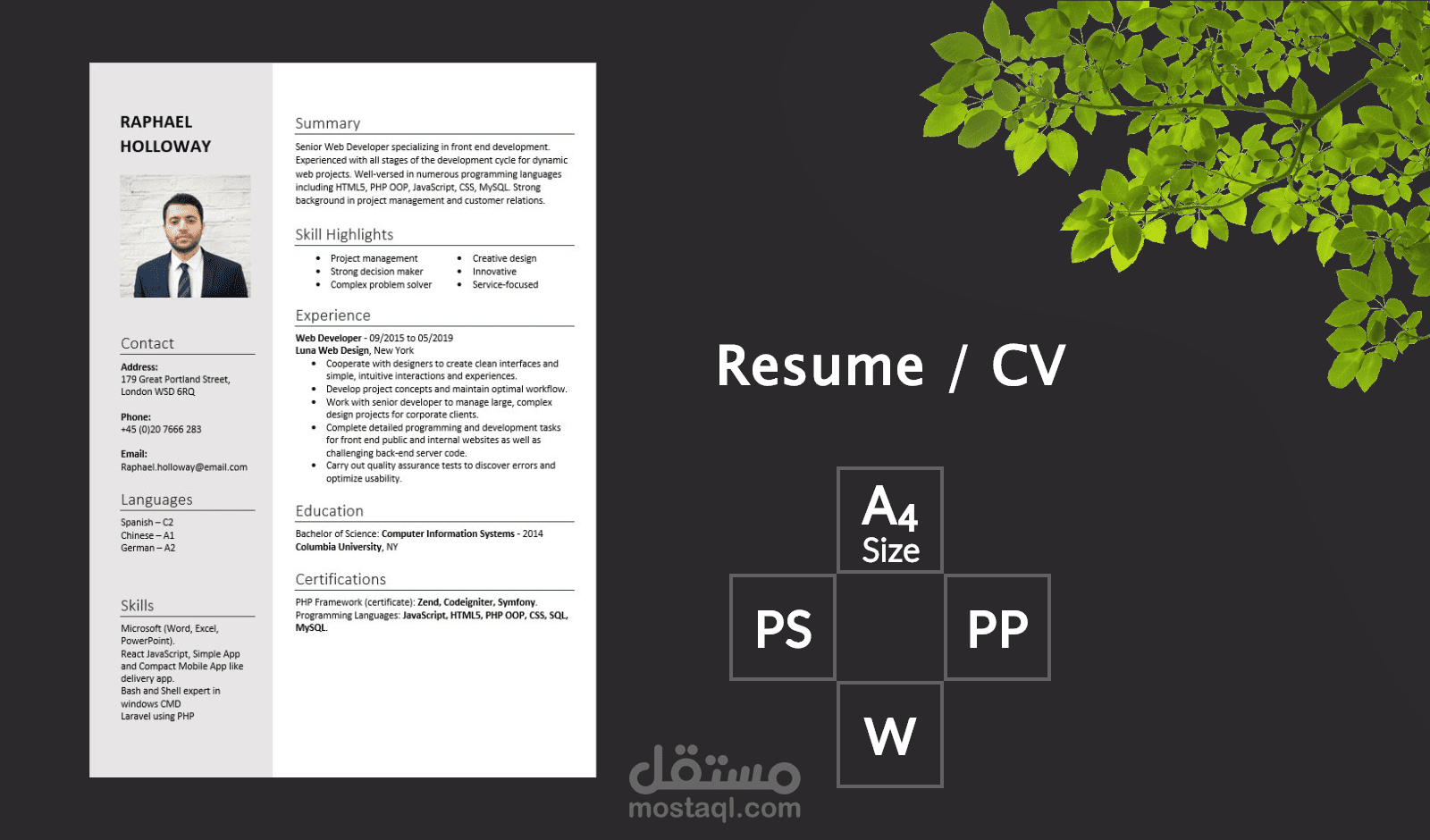 تصميم وكتابة السير الذاتية CV باللغتين العربية والإنجليزية