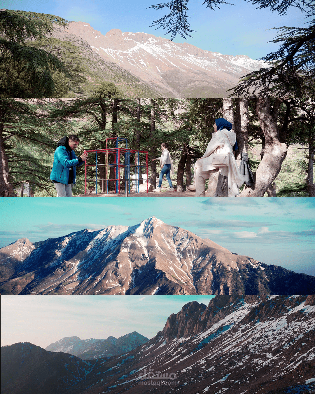 "Color grading "davinci resolve