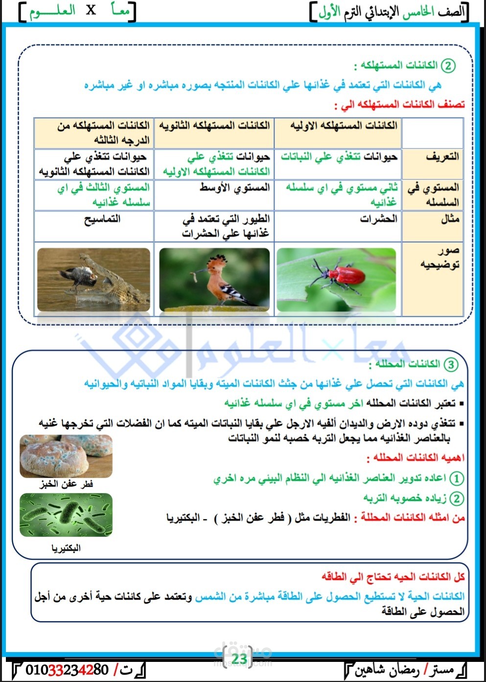 كتابه مذكرات تعليميه