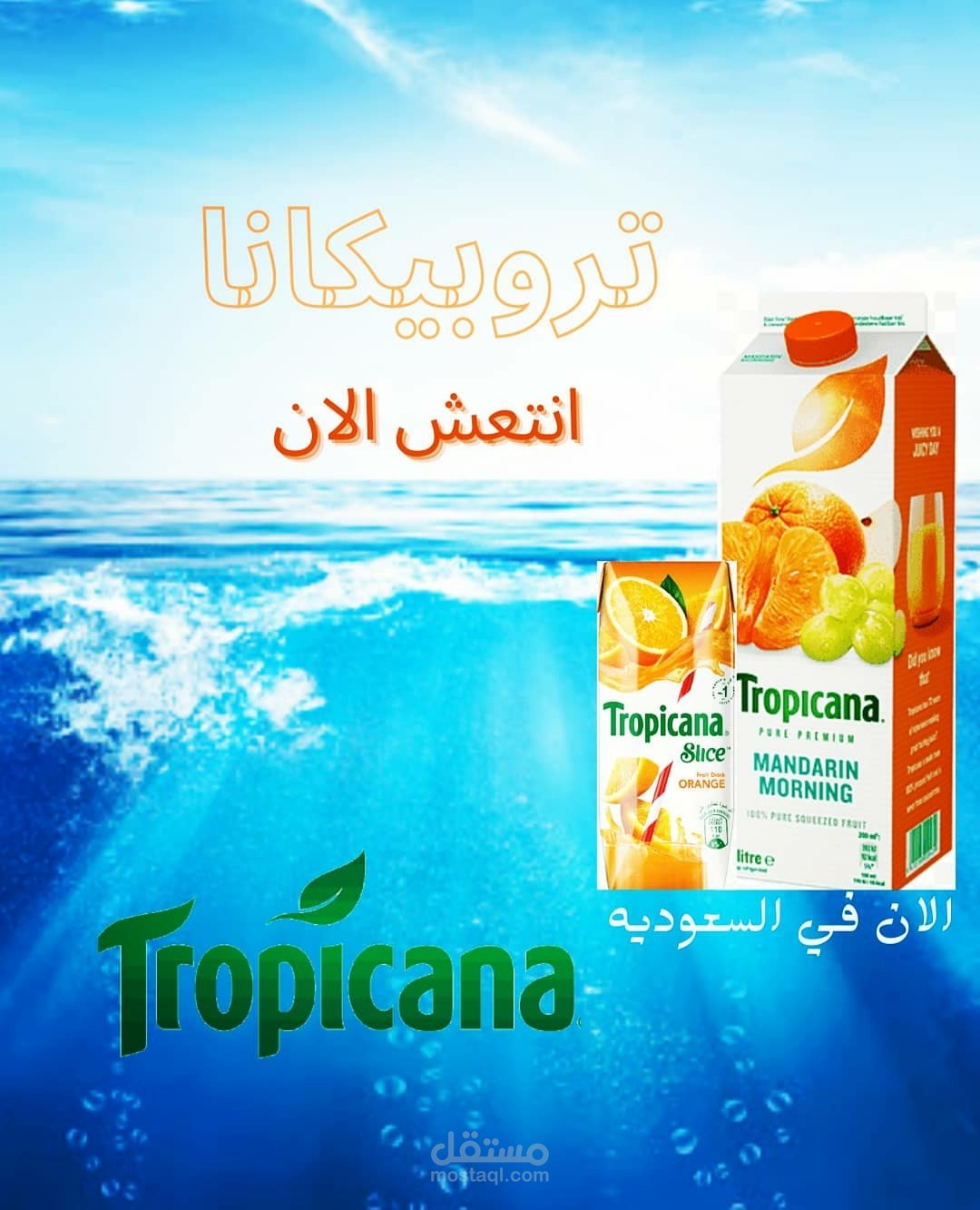 سوشيال ميديا