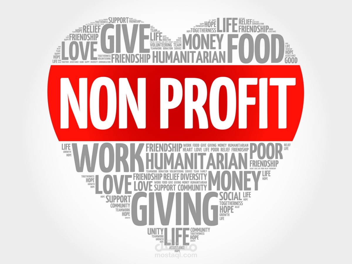 المنظمات غير الربحية في العالم Non-profit Organizations
