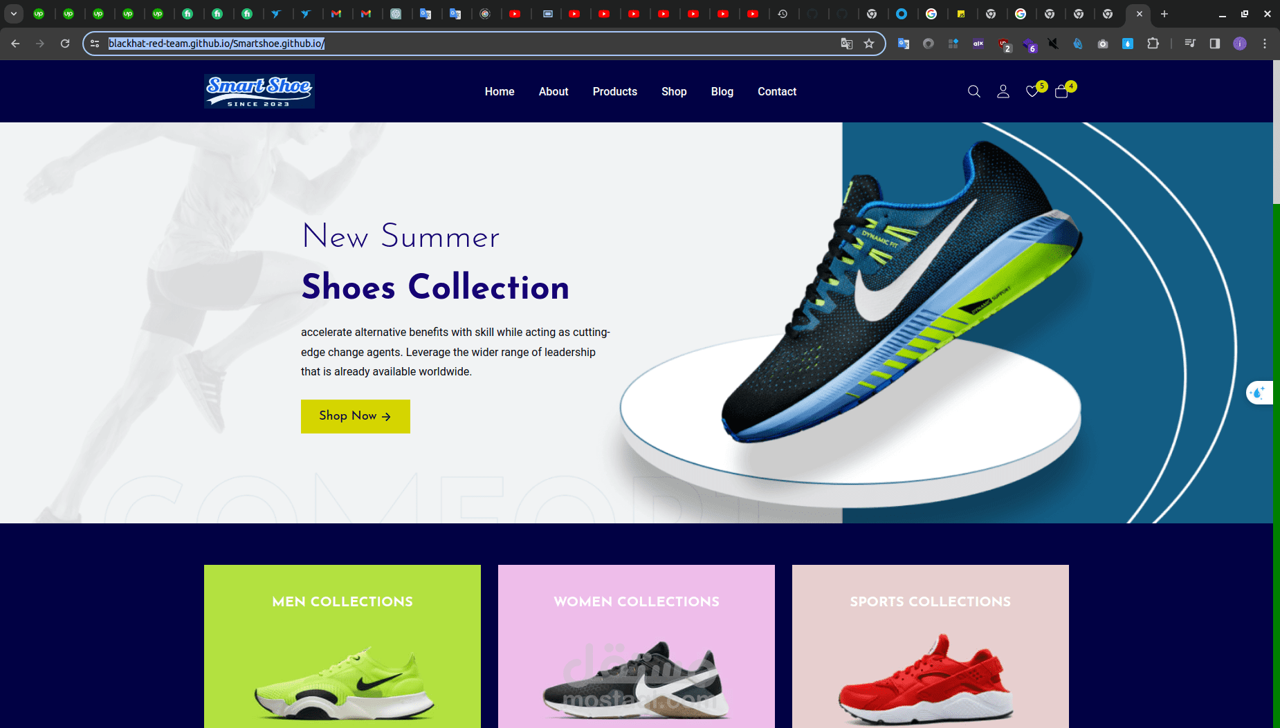 ecommerce website