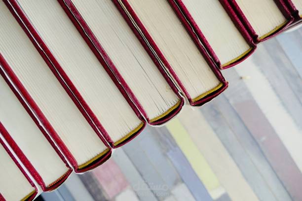 مقالات : مقالة عن التقارير التي يضطلع بها كل من المدير العام ومدير الحسابات ومدير المستودعات