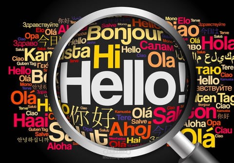 ترجمة مقالات صحفية
