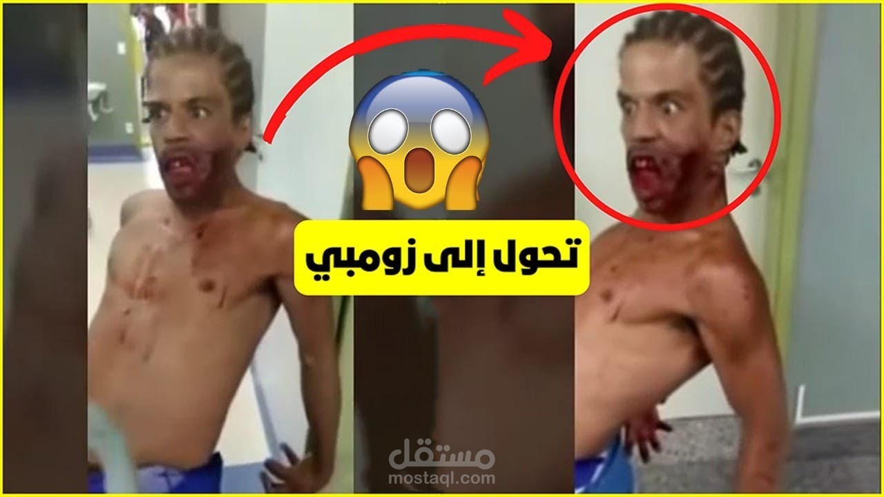 مونتاج إحترافي لقناة ثقافية علي اليوتيوب