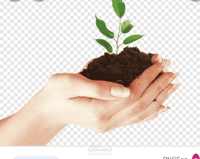 أهمية الأسمدة العضوية للتربة الزراعية، موقع زريعة