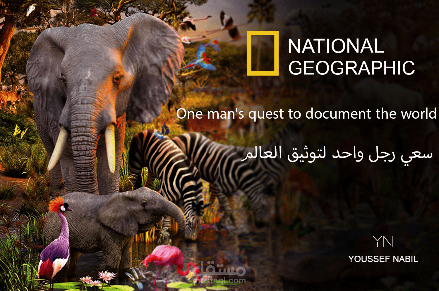 Banner Marketing NATIONAL GEOGRAPHIC