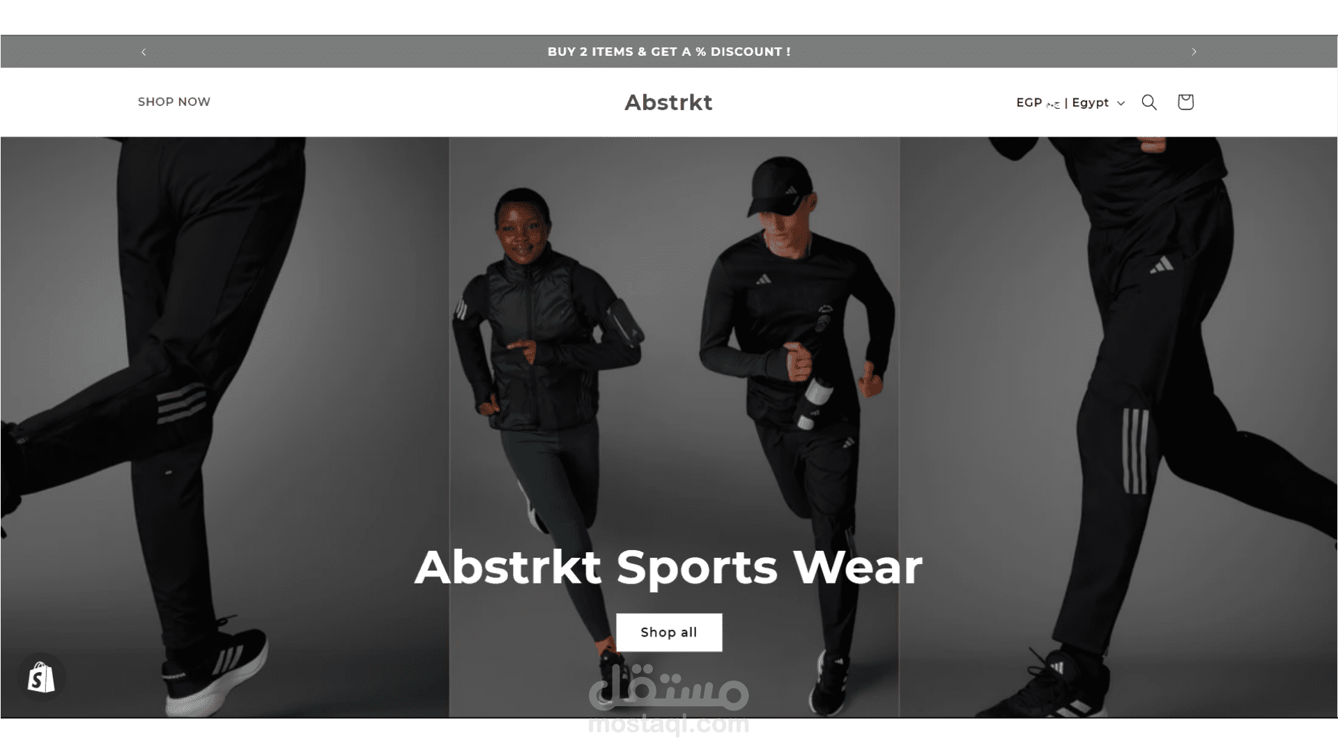 shopify store
