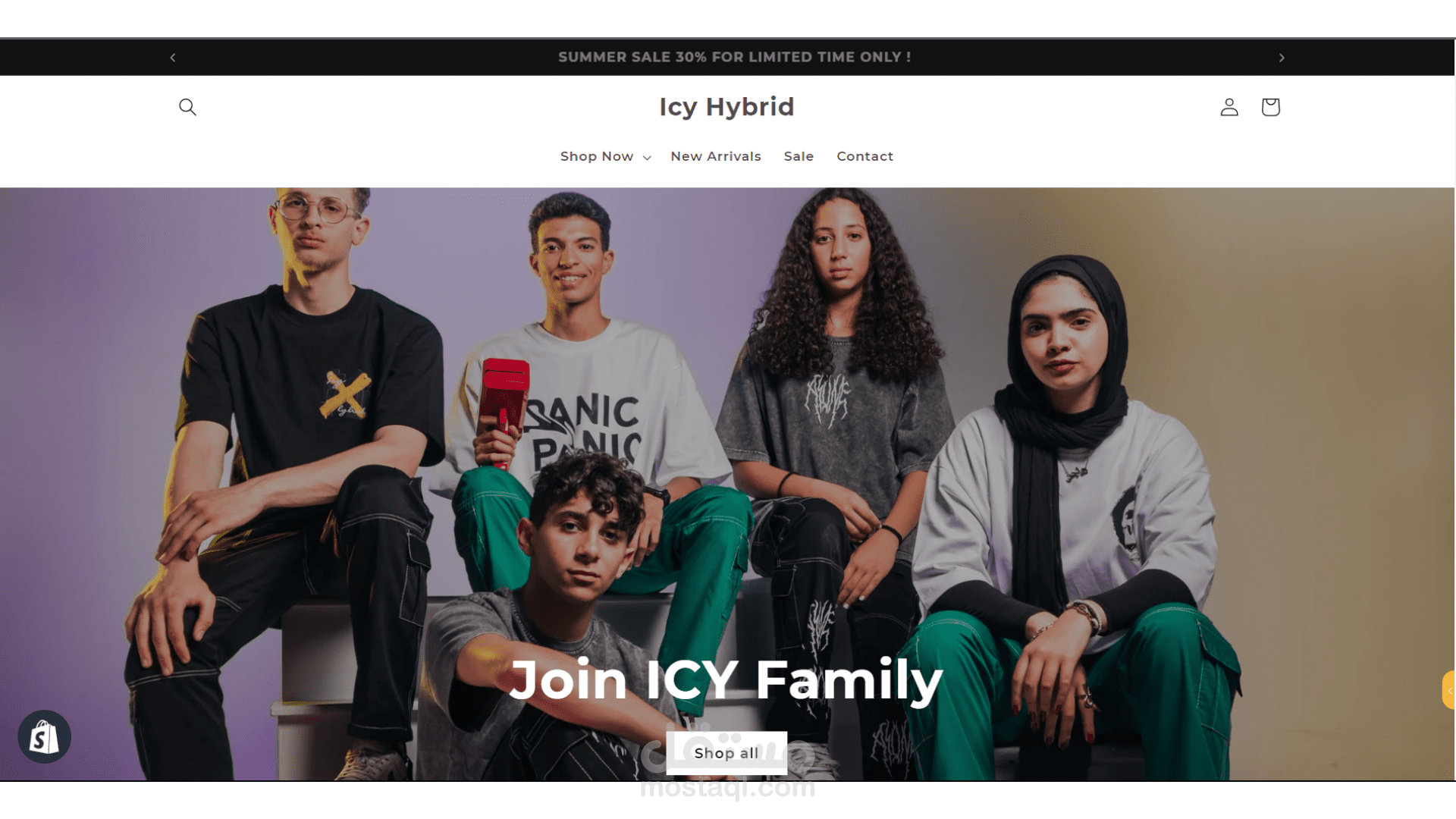 Shopify store