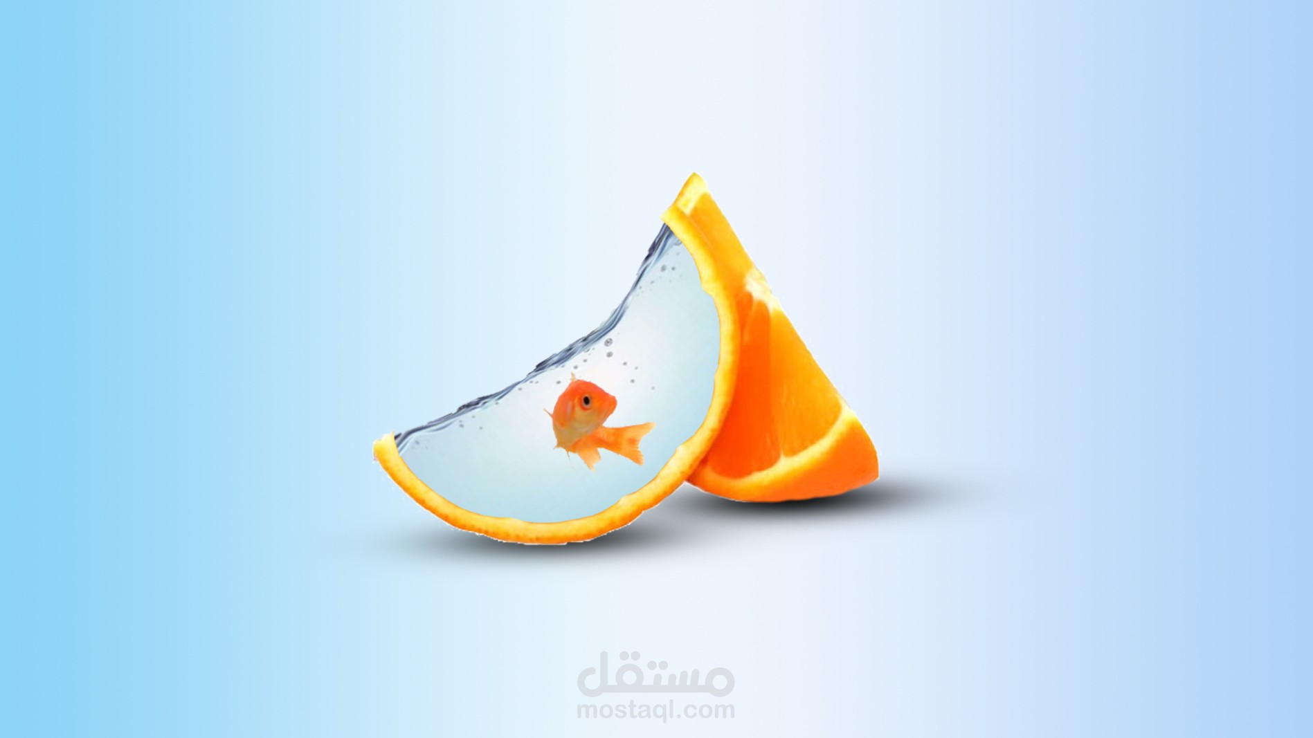 تصميم صورة لشركة اسماك