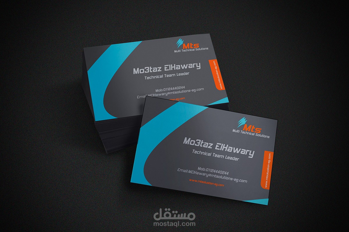 MTS logo and identity