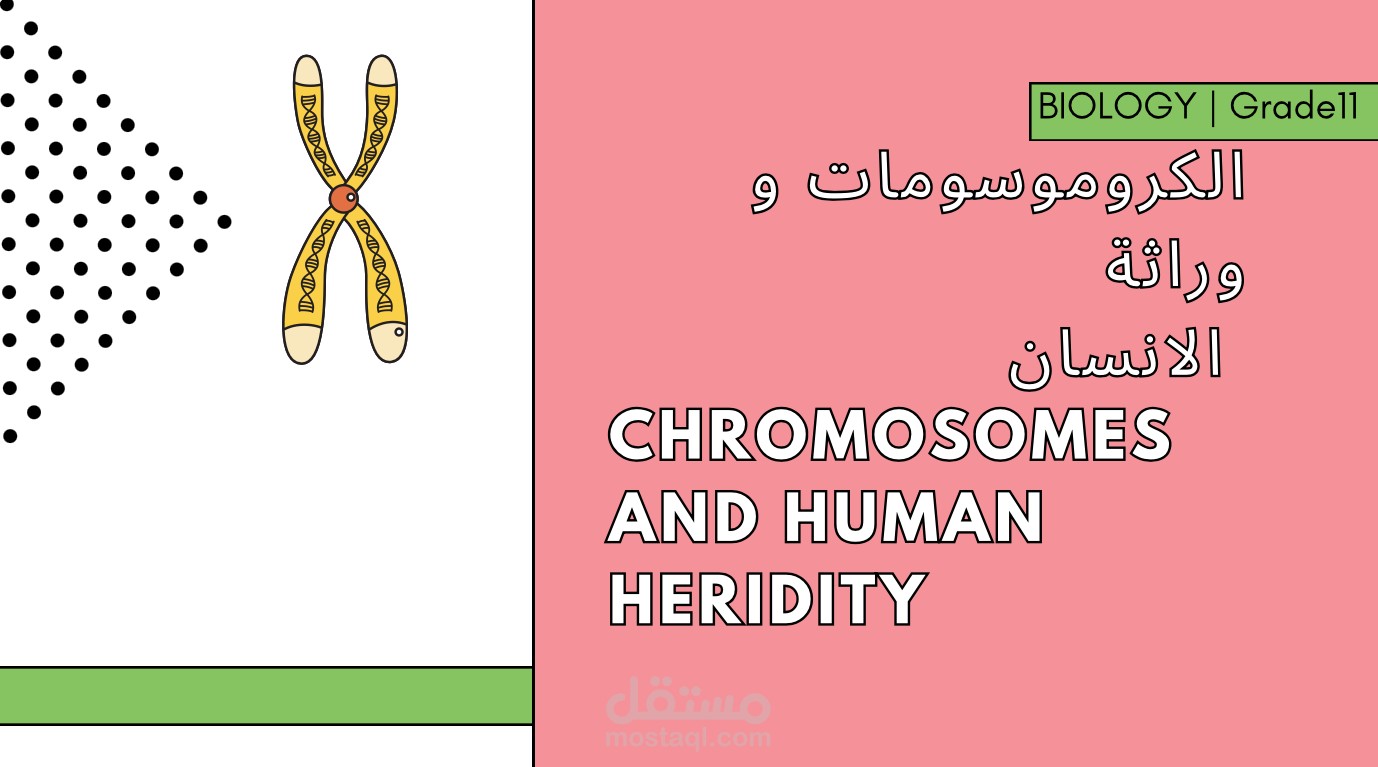 كتابة عرض تقديمي