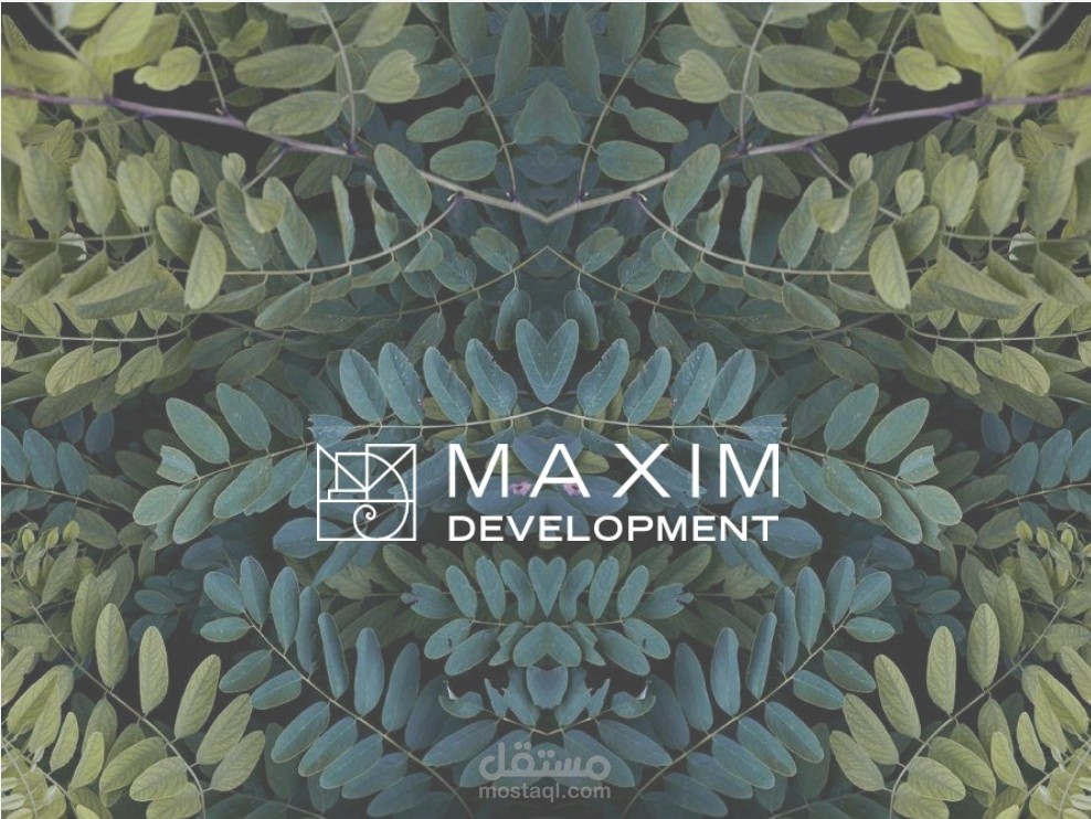 Presentation about company projects