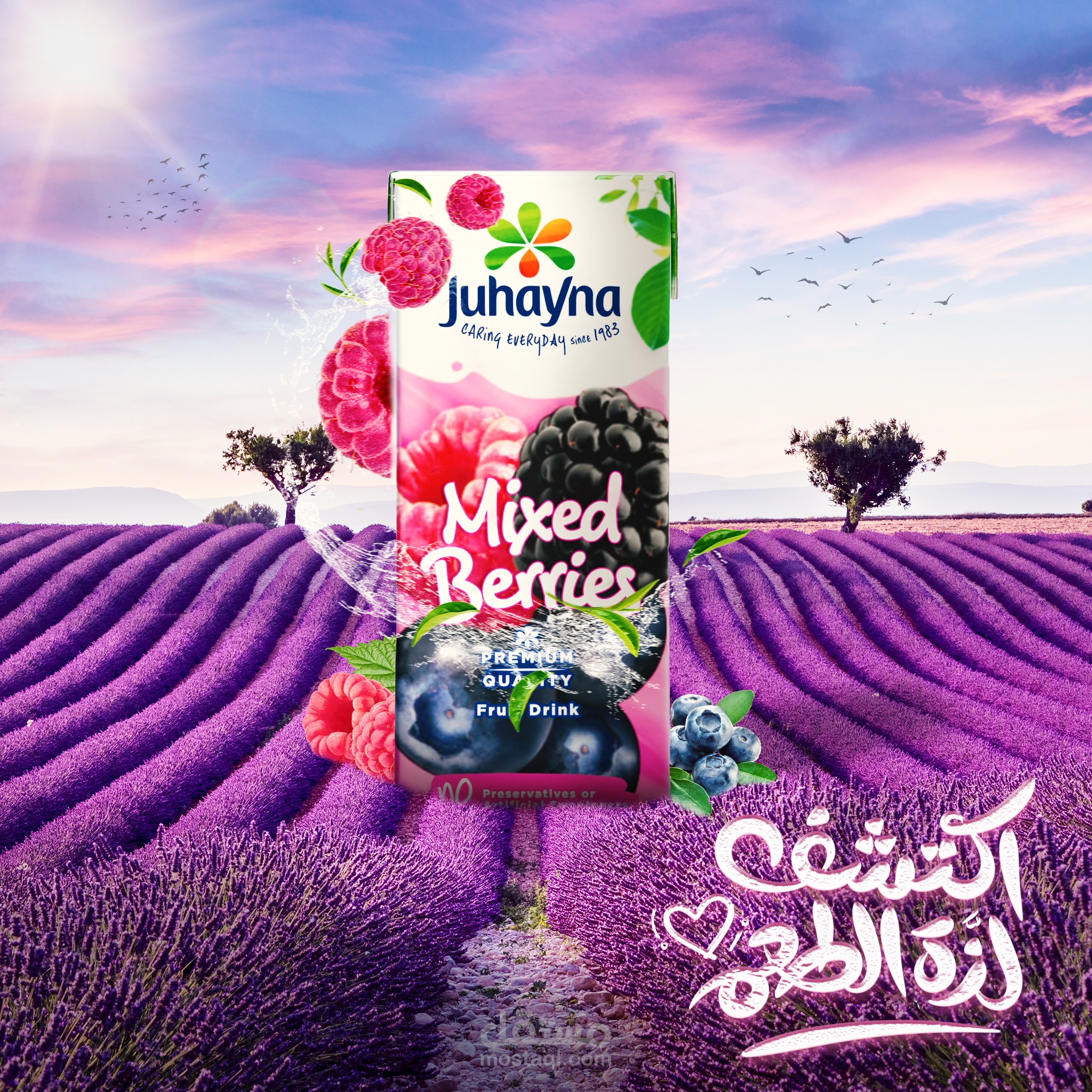 Social Media Design For Juhayna