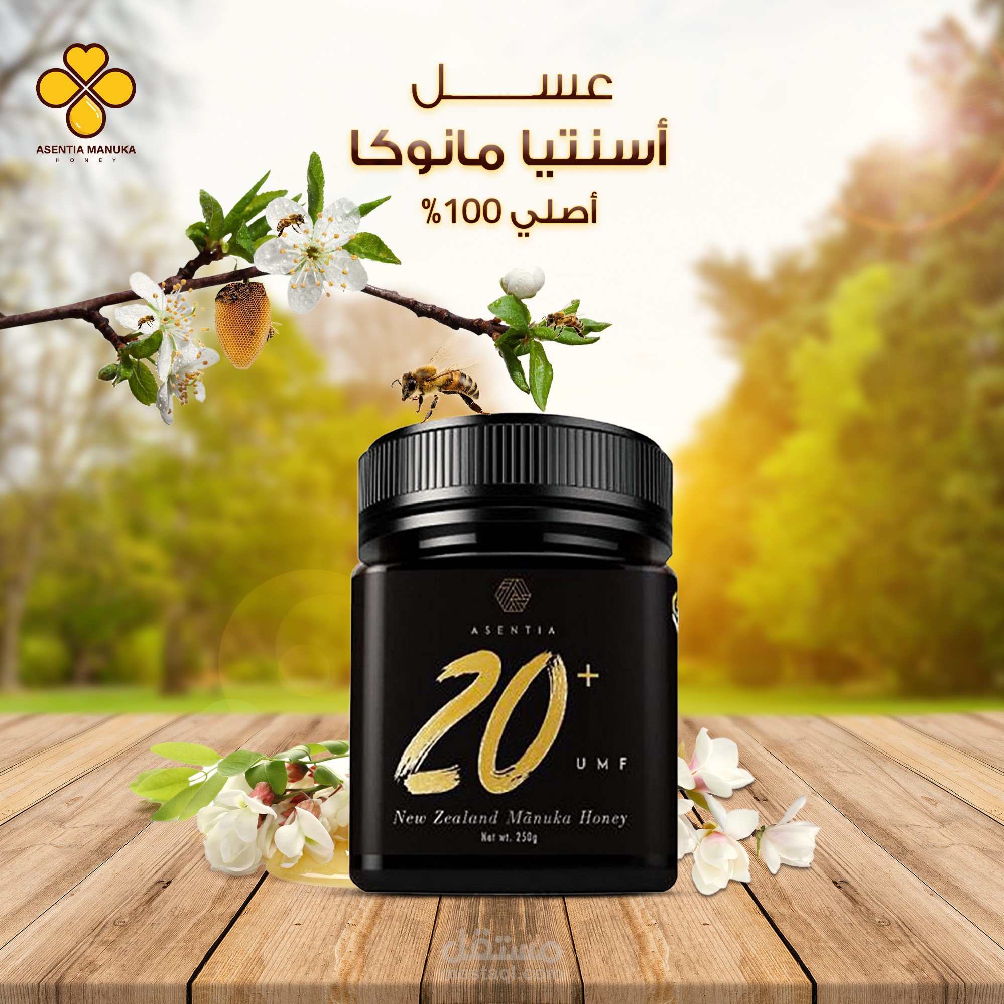 Social Media Designs For Asentia Manuka Egypt