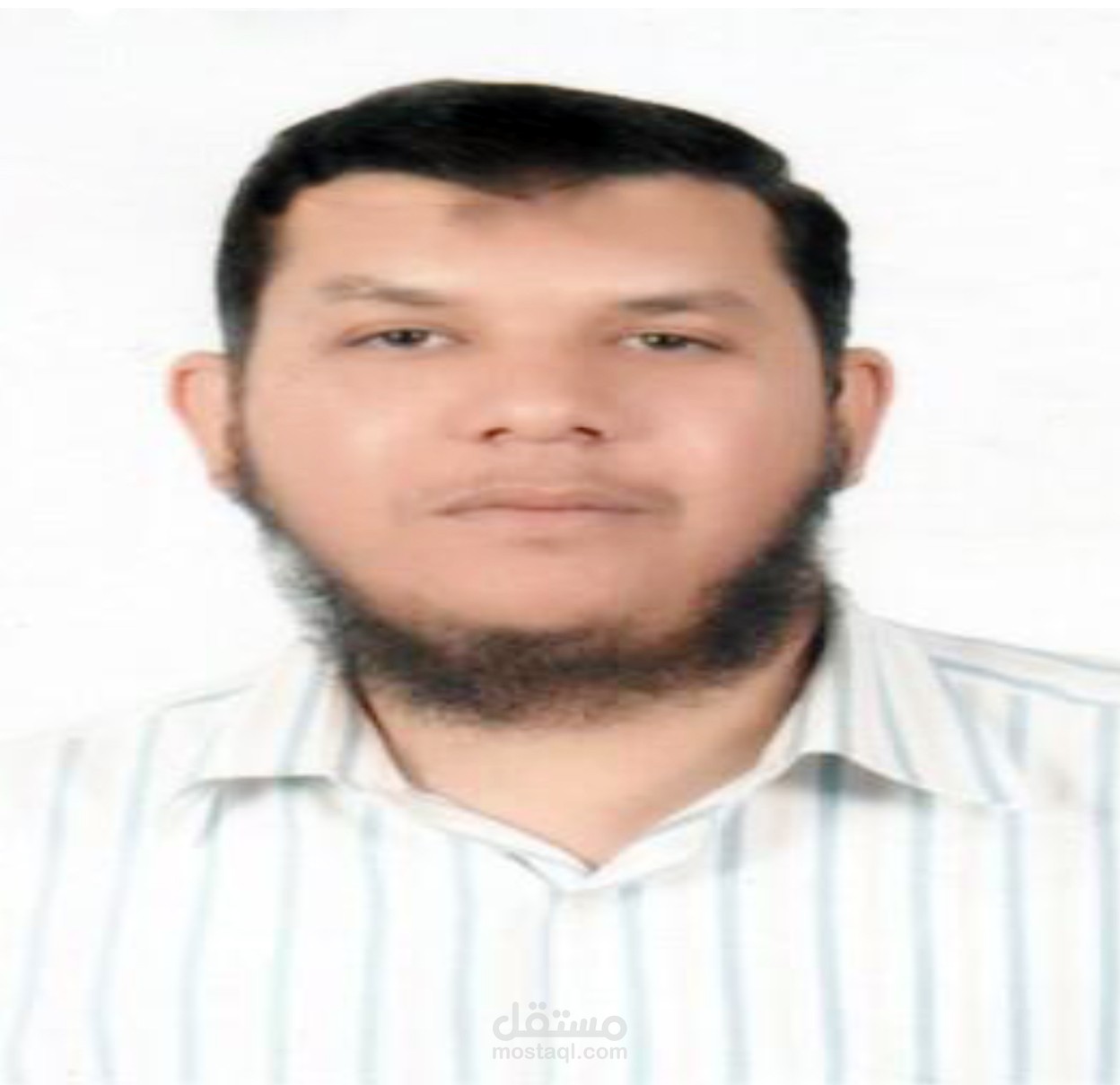 حسابات شركه تصدير سيارات