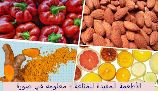 الأطعمة المفيدة للمناعة