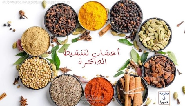 كتابة مقال: أعشاب لتنشيط الذاكرة