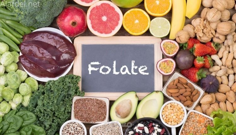 كتابة مقال: أفضل 10 أطعمة لعلاج الأنيميا