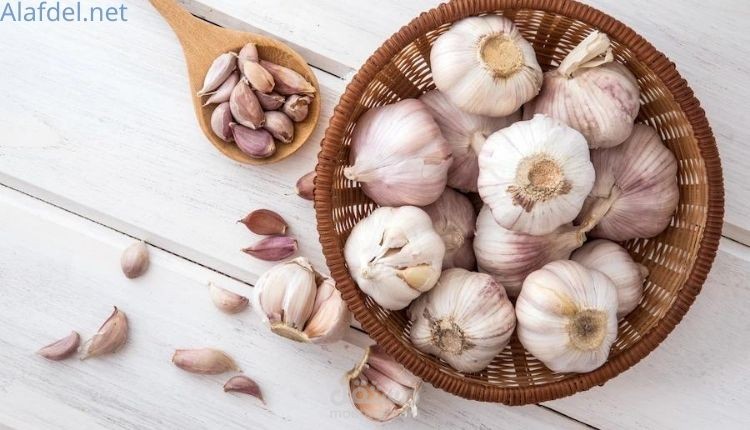 كتابة مقالة: الثوم للوقاية من السرطان