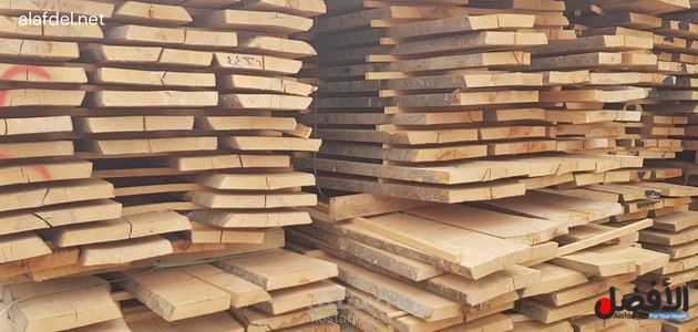 كتابة مقال بعنوان: عيوب خشب الزان