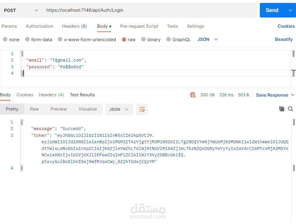 Full stack developer