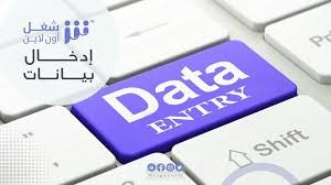 جمع وإدخال وتدقيق بيانات