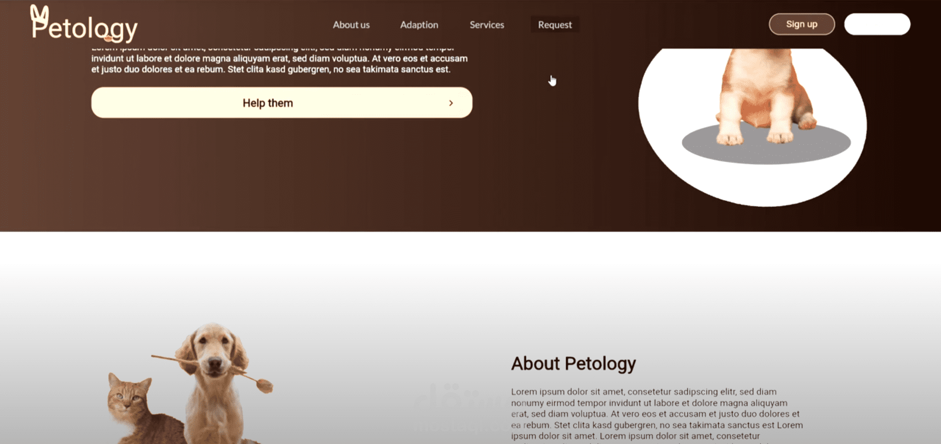 pestology website Using Flutter