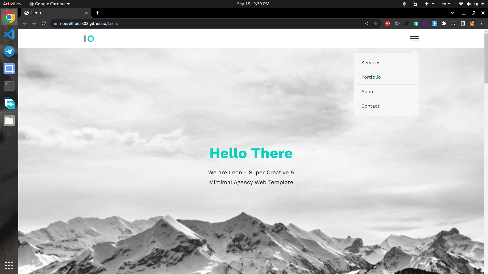 Leon company portfolio