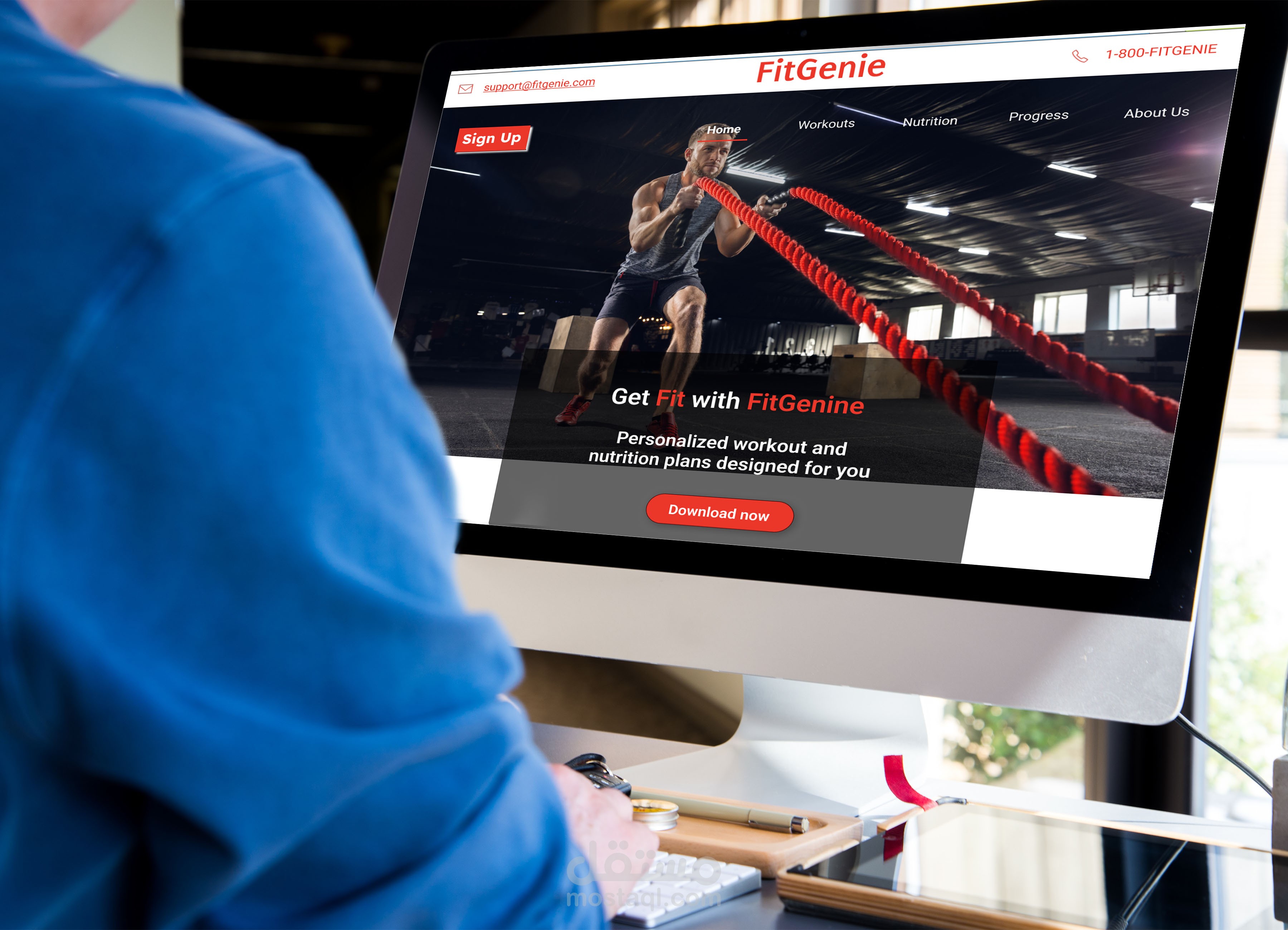 fitnese website