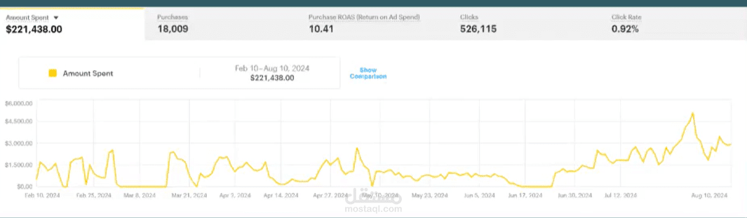 نتائج الحملات الاعلانية عبر سناب شات