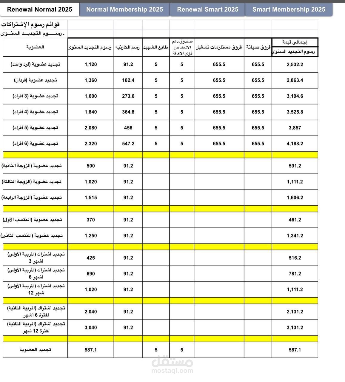 ادخال بيانات شركة راس مالها يتجاوز ال ٤ مليار جنيه
