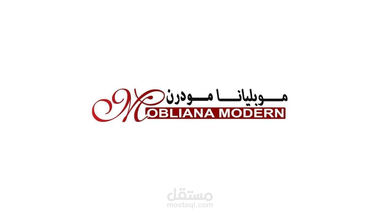 محاسب عام من فبراير 2017 الى ابريل 2018.