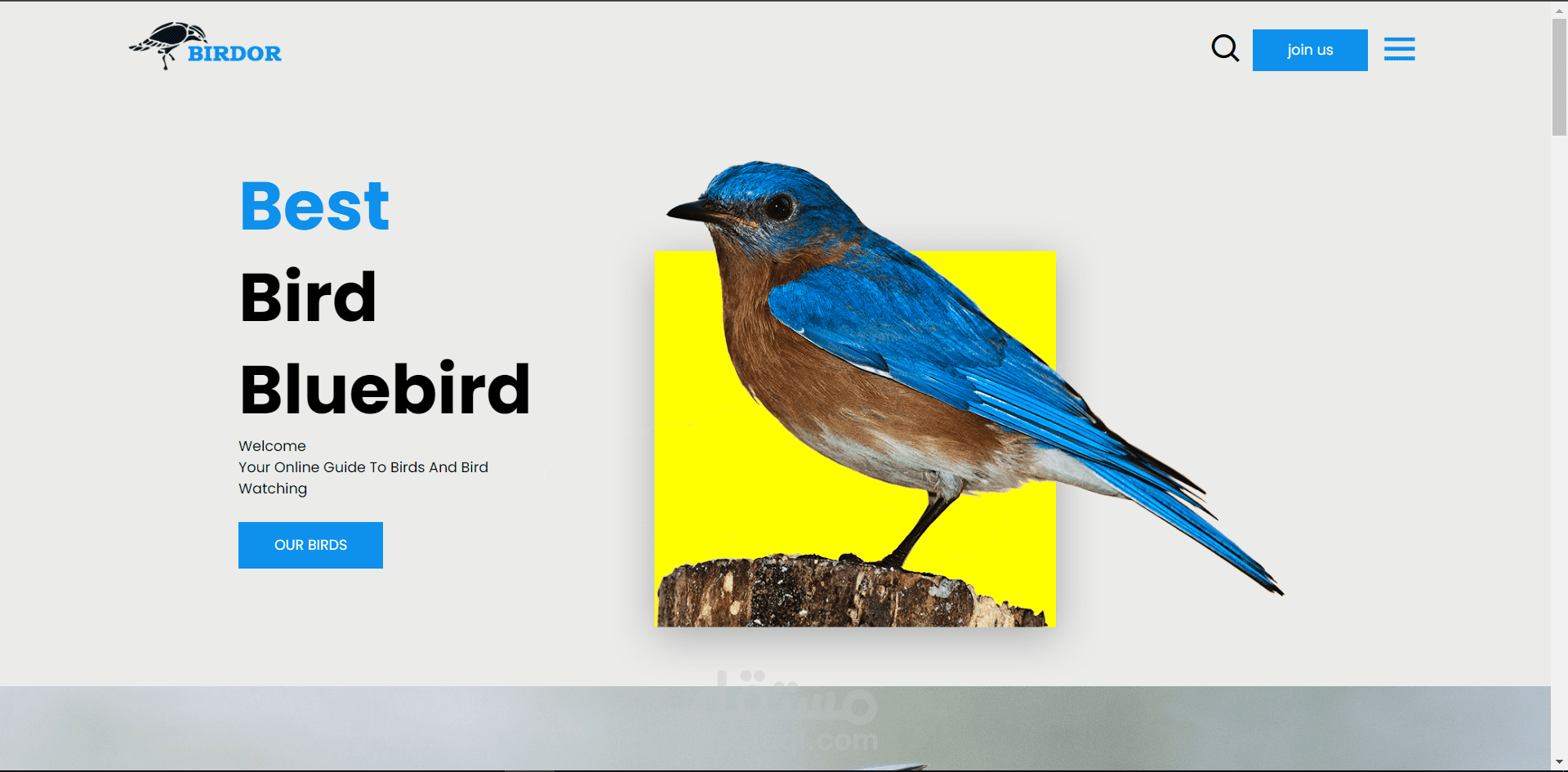 موقع سريع جداً باسم (birdor)