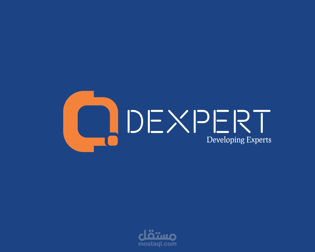 إدارة السوشيال ميديا لشركة ديكسبيرت