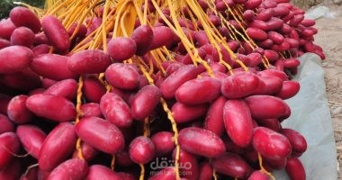 نموذج تحليل المنافسين من وجهة نظر المستهلكين