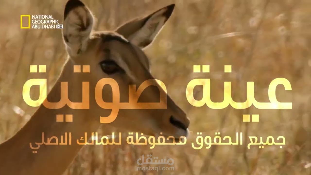 وثائقي كالي هاري